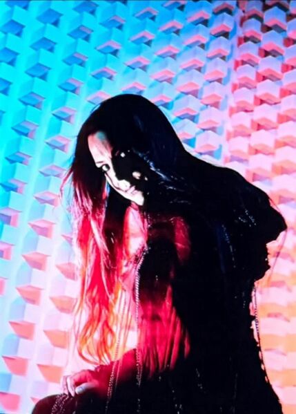 File:AmyLee2026.jpg
